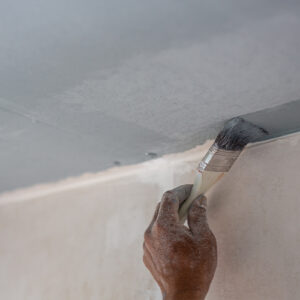 %Pascal Multi Travaux et services à Villefranche sur Sâone% 2 Petits Travaux de Plâtrerie et Peinture à Villefranche sur Saône, travaux et services : bricolage et travaux à domicile pour particuliers